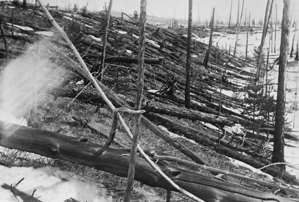 Fotografia histórica de 1929 mostrando árvores destruídas e queimadas na região da explosão de Tunguska. Imagem original da expedição de Leonid Kulik.